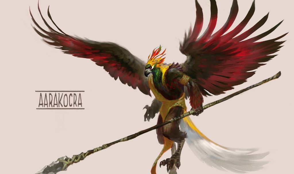 bird guy