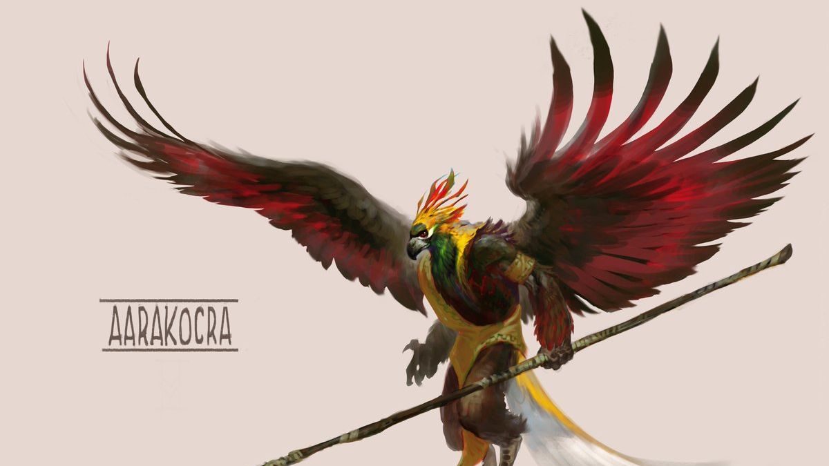 Bird Guy