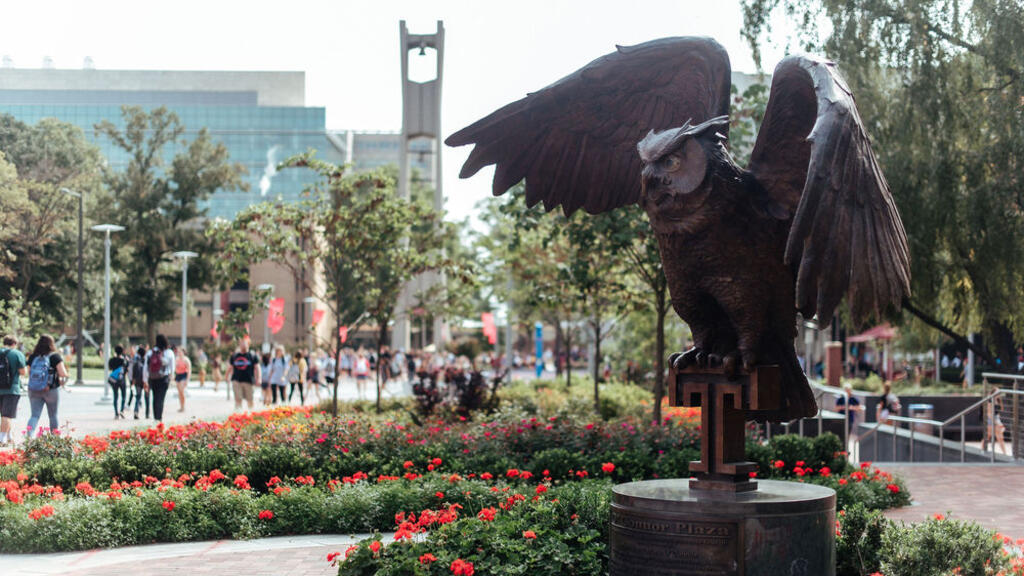 image of Stella in Connor plaza 