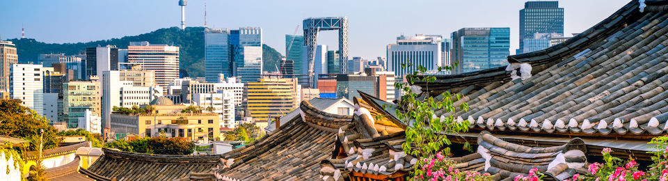 image of rooftops in Korea with the city in the background