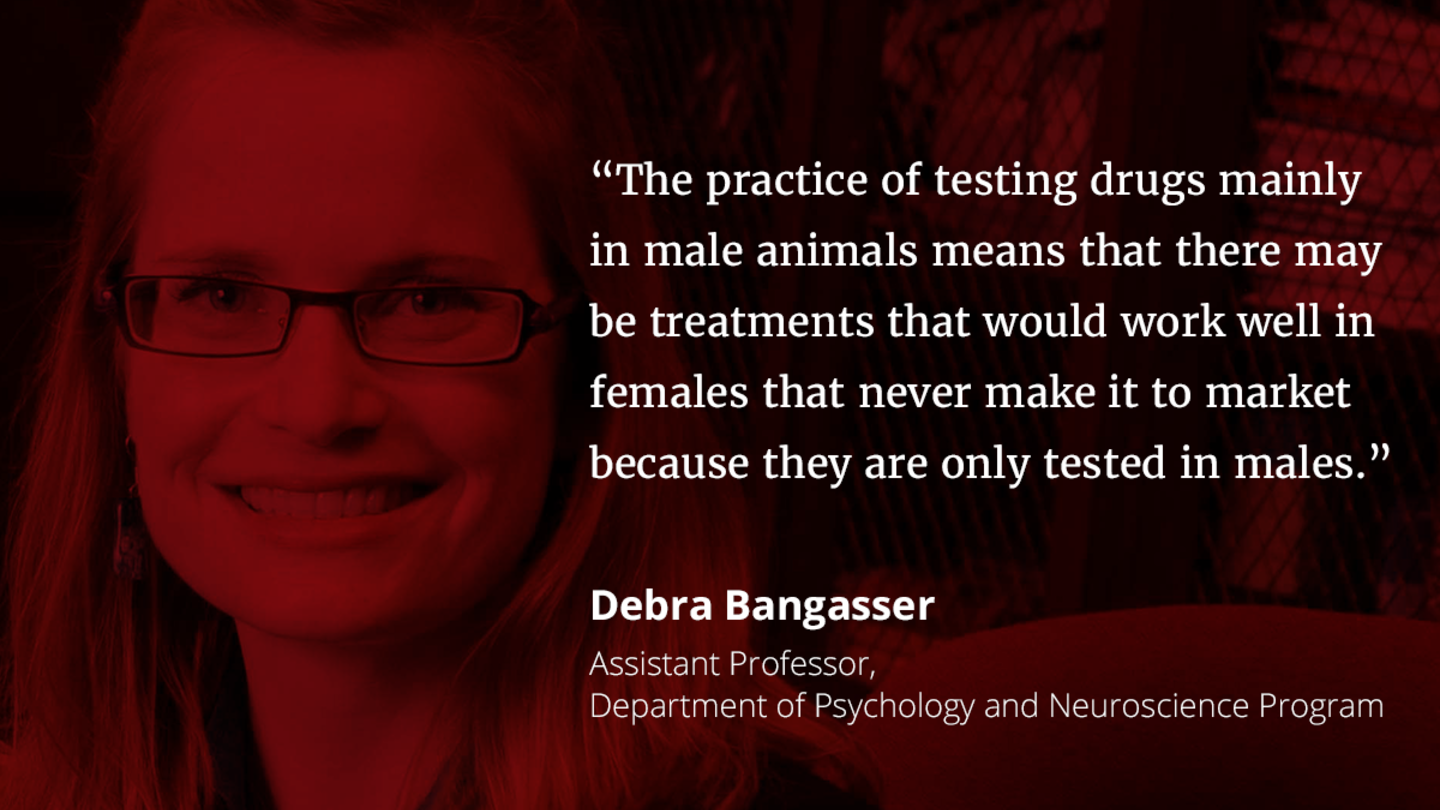 Image text: "The practice of testing drugs mainly in male animals means that there may be treatments that would work well in females that never make it to market because they are only tested in males"